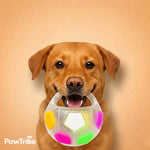 DogPlay - Stress Ball