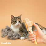 Cat hair removal brush