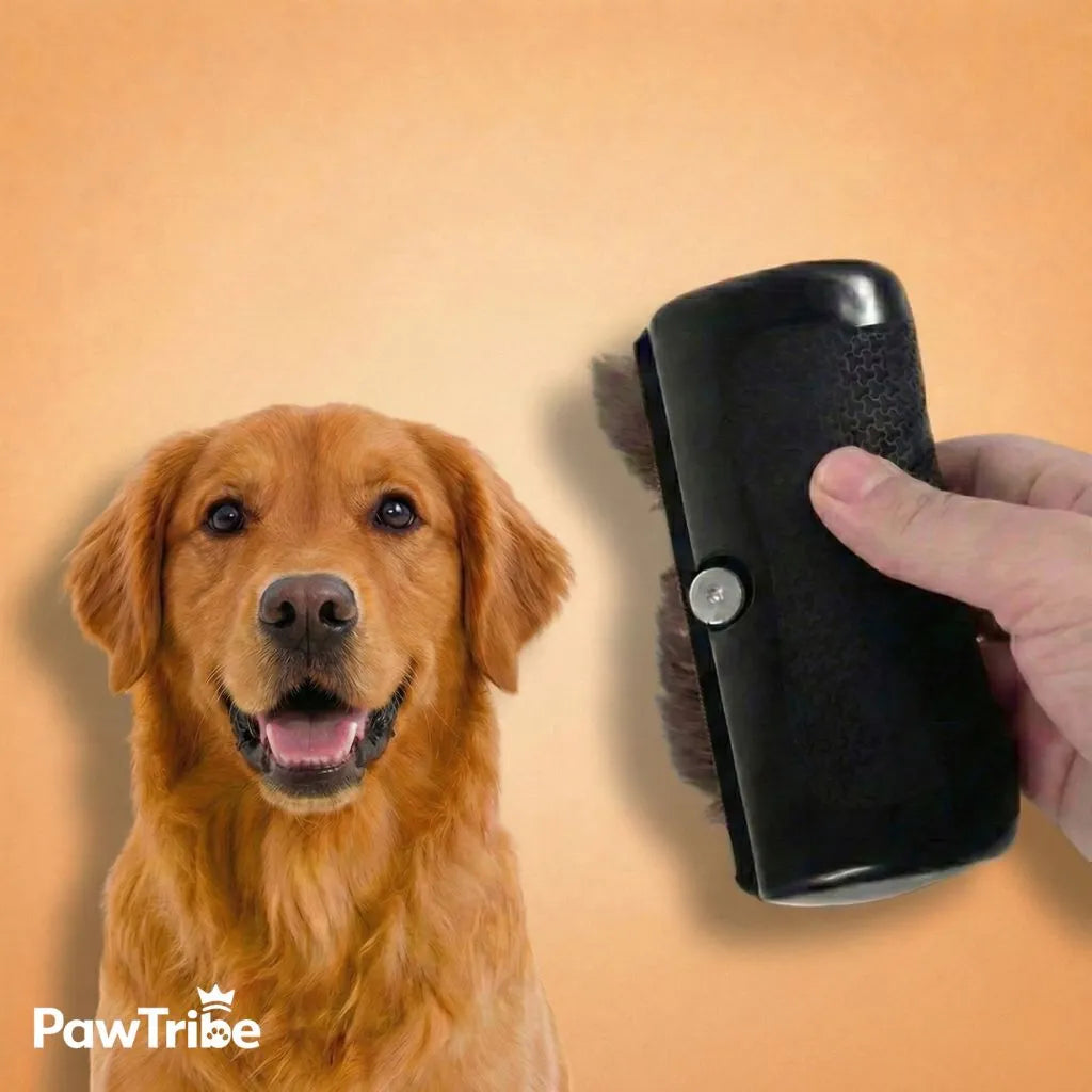 The Magic Dog Brush