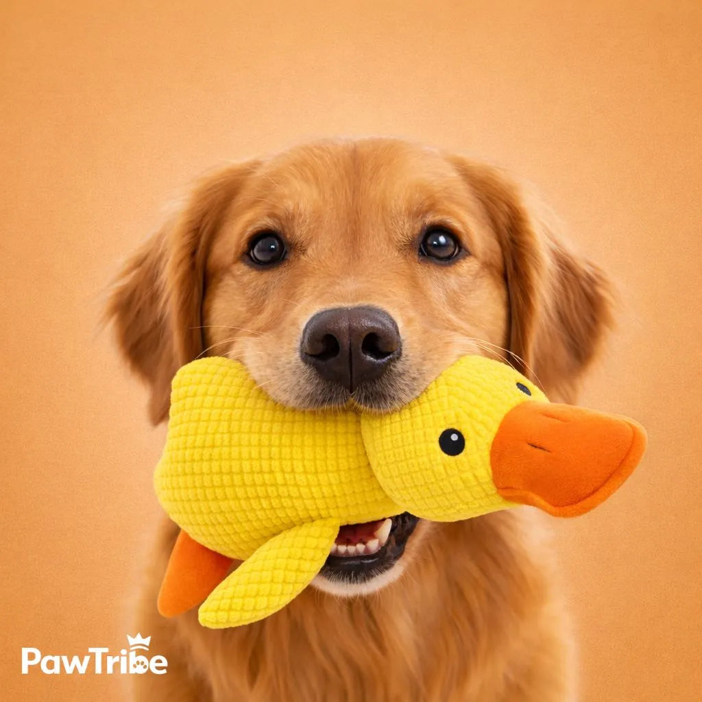 ZenDuck™ - Anti-stress duck