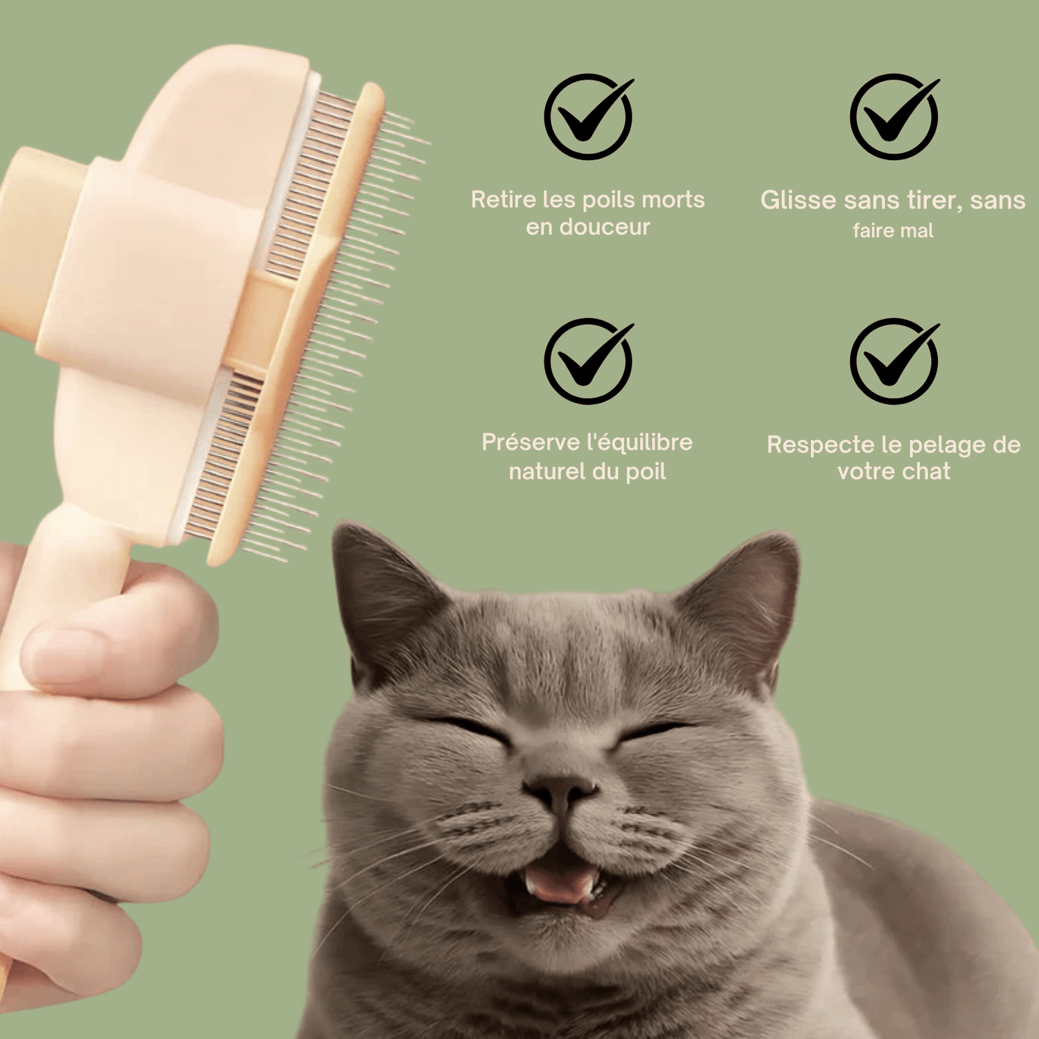 Brosse anti - poil pour chat - Le TroneCanin