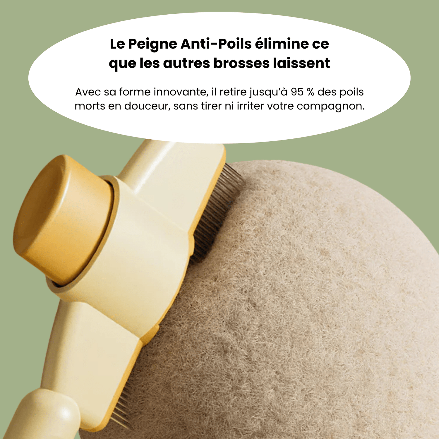 Brosse anti - poil pour chat - Le TroneCanin