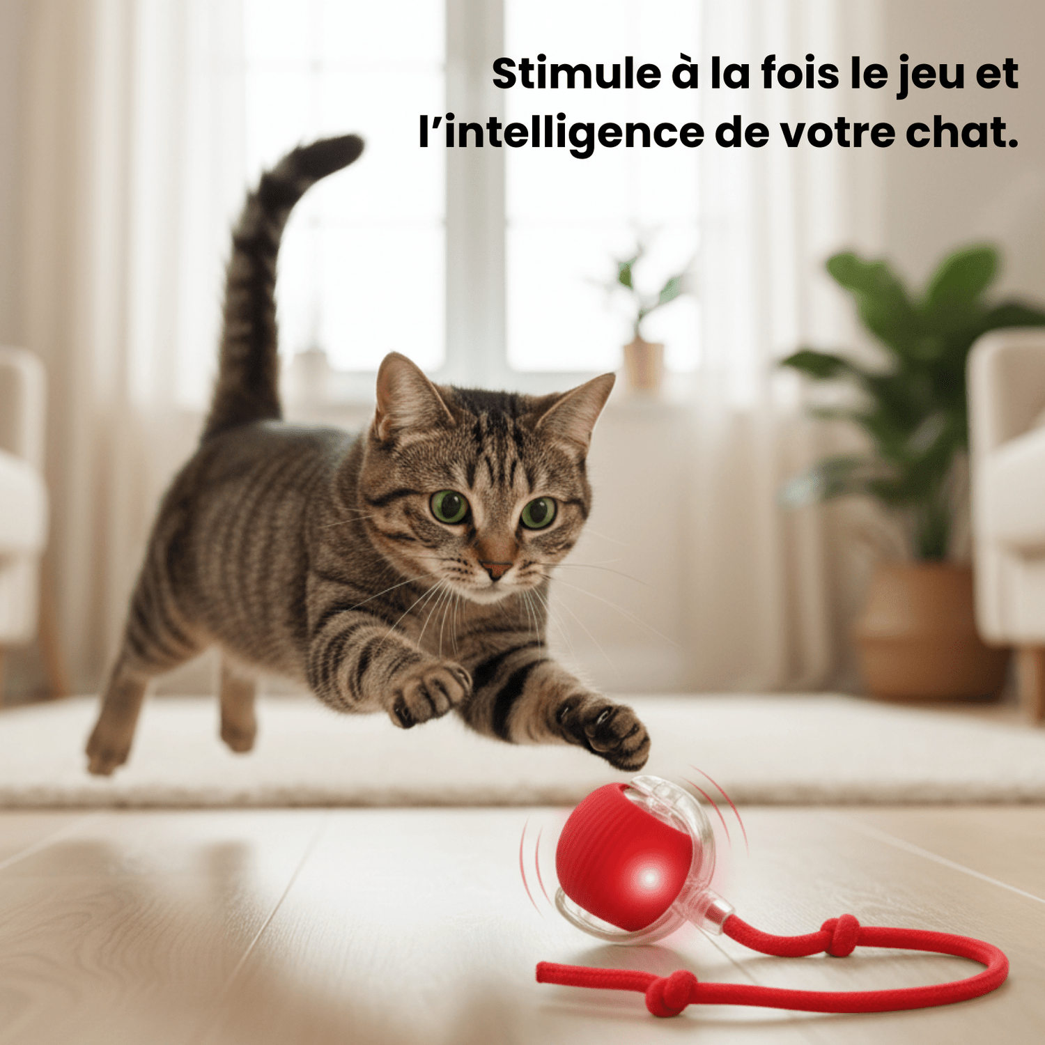 CrazyBall™ - Balle Interactive - Le TroneCanin