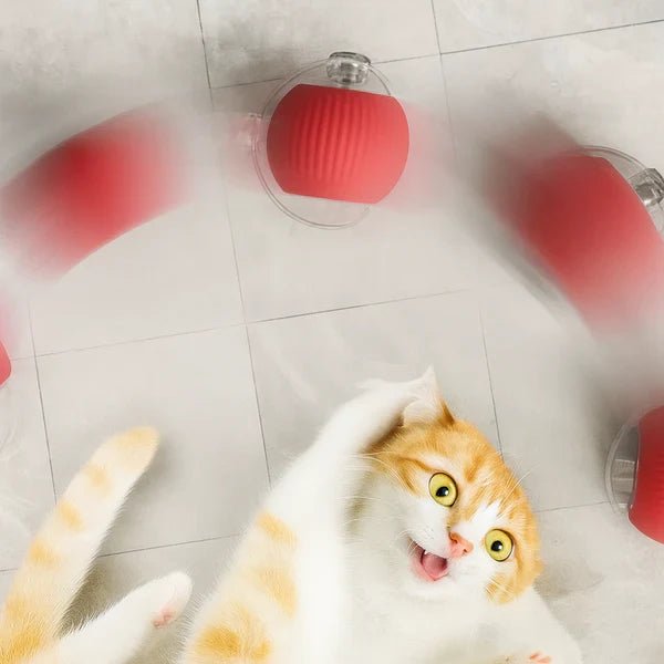 CrazyBall™ - Balle Interactive - Le TroneCanin