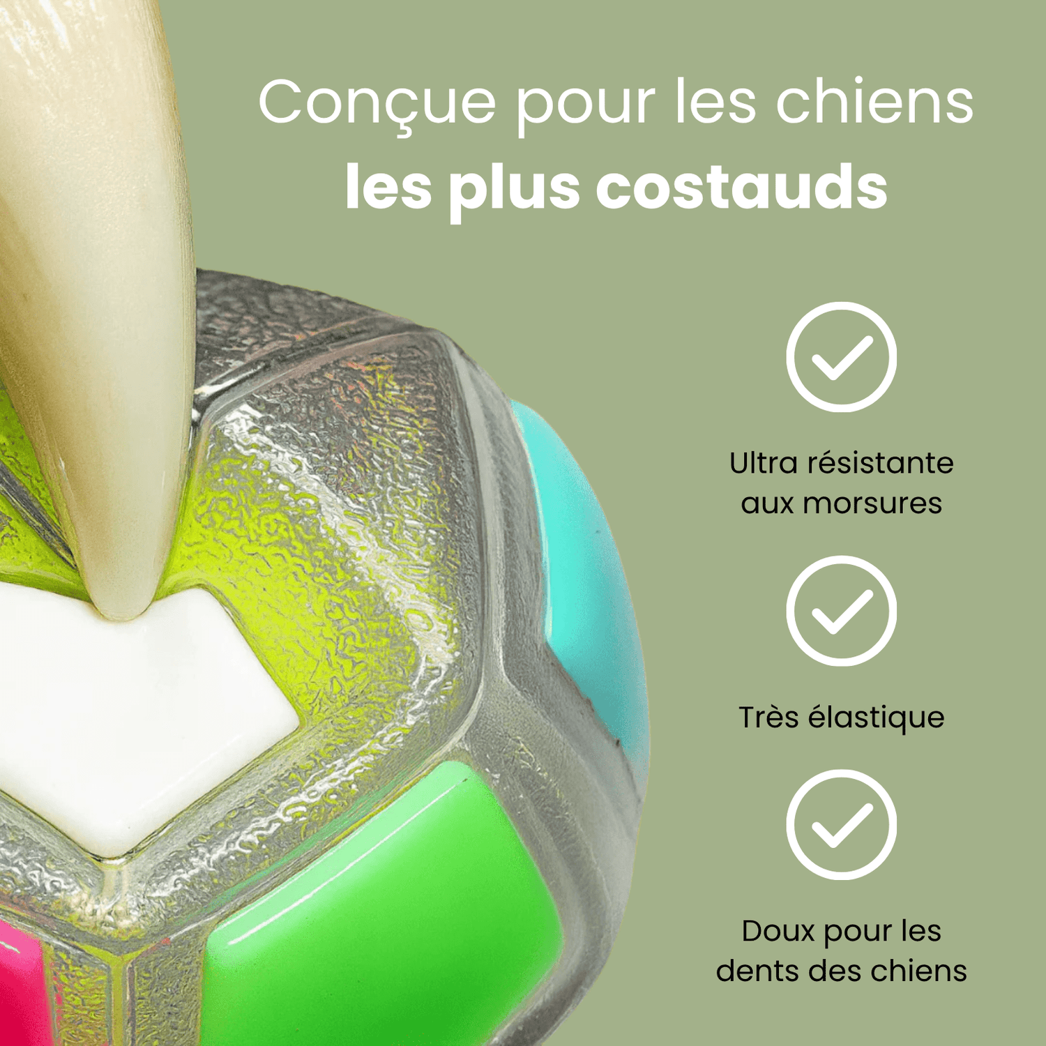 DogPlay - Balle anti - stress - Le TroneCanin