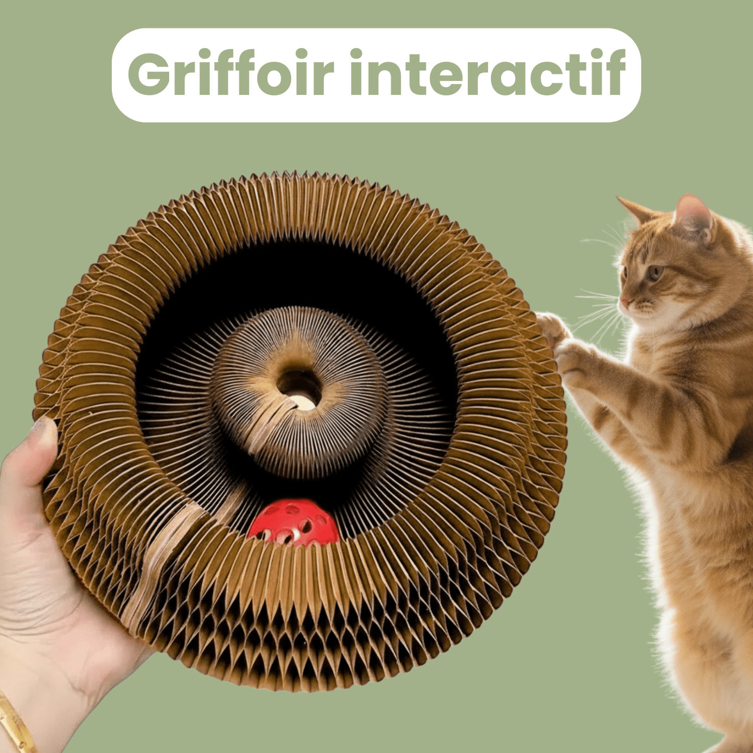 Griffoir interactif pour chats - Le TroneCanin