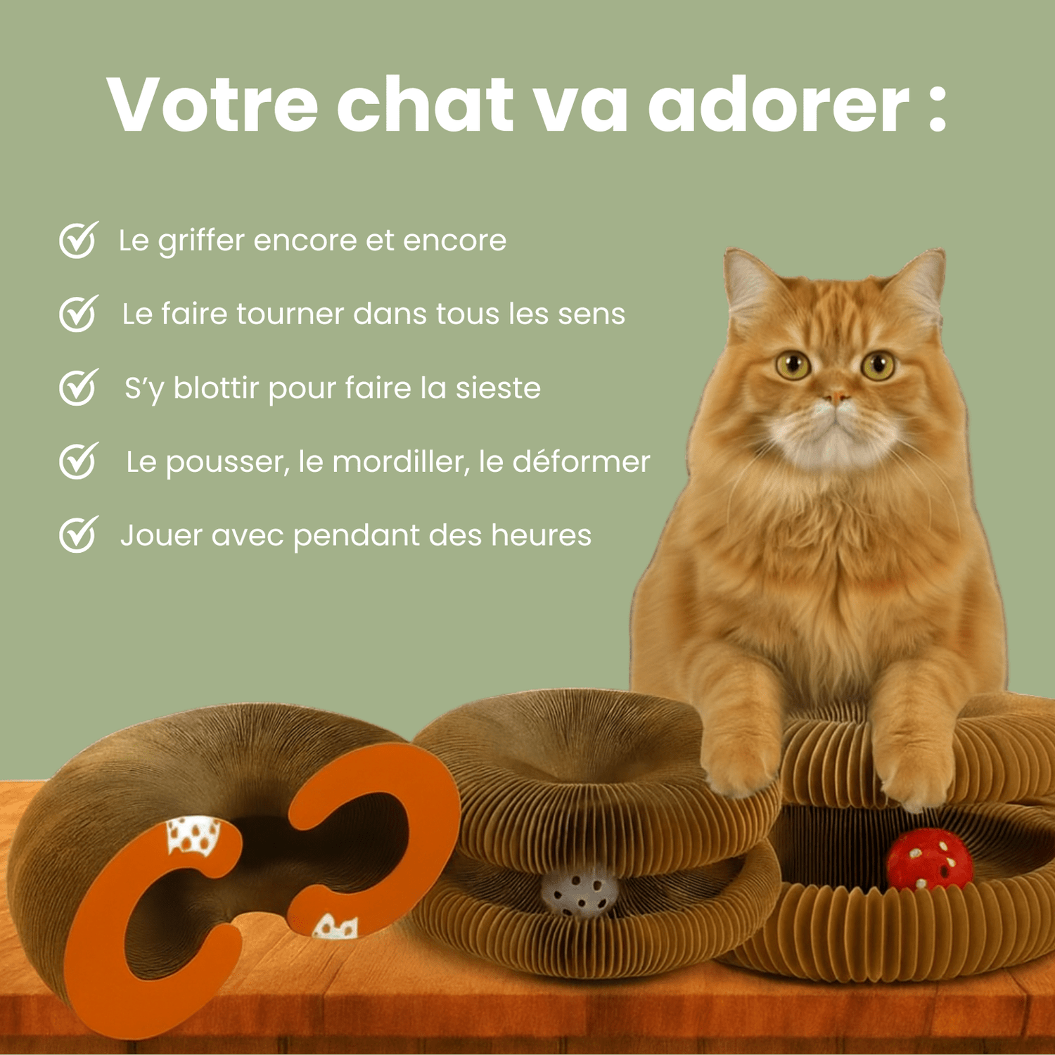 Griffoir interactif pour chats - Le TroneCanin
