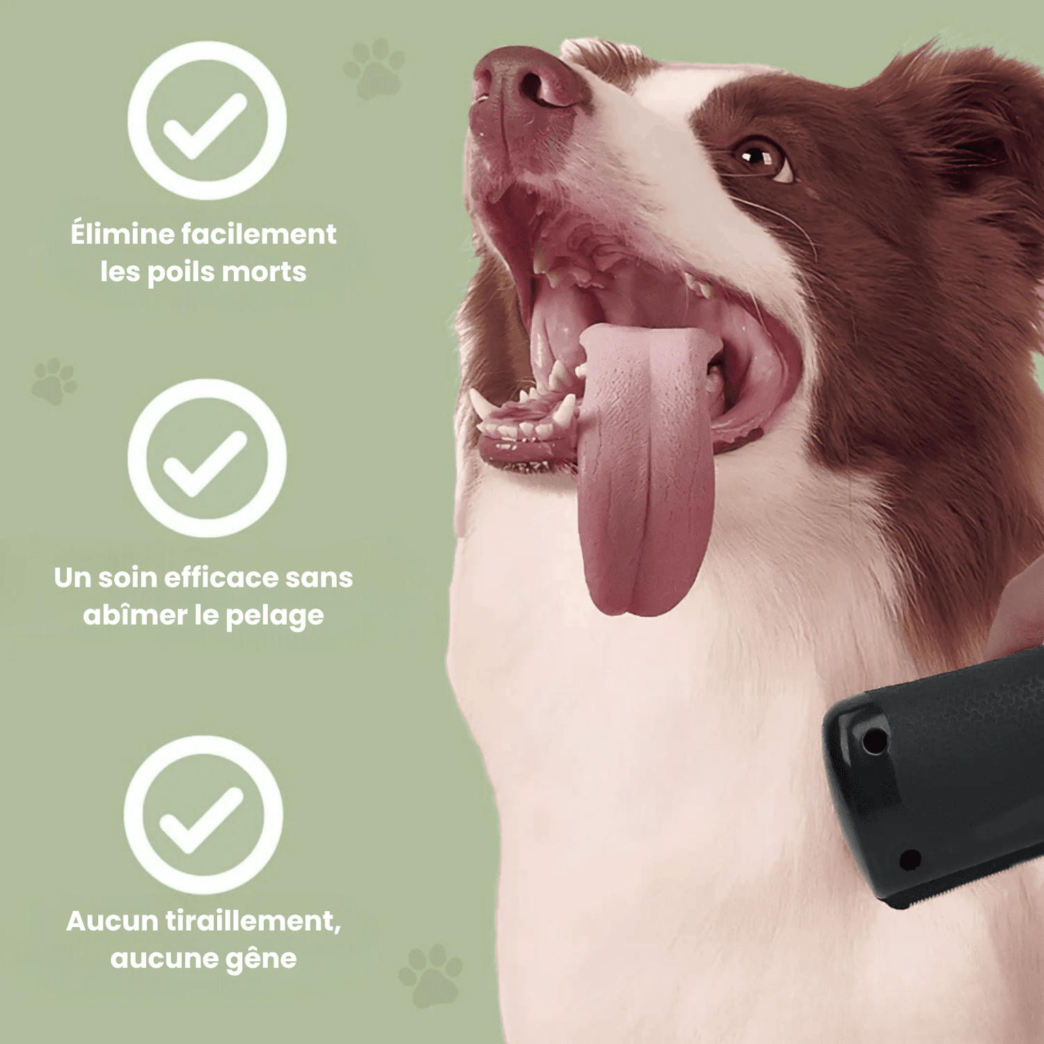 La Brosse Magique pour chien - Le TroneCanin