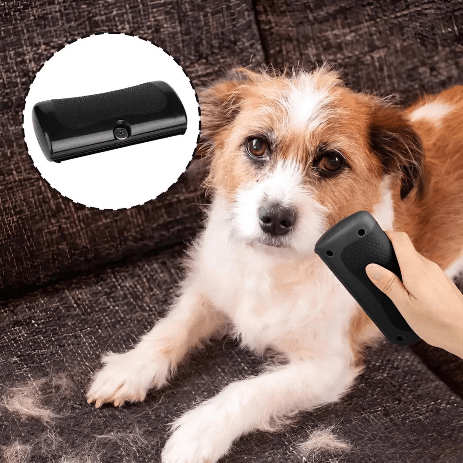 La Brosse Magique pour chien - Le TroneCanin