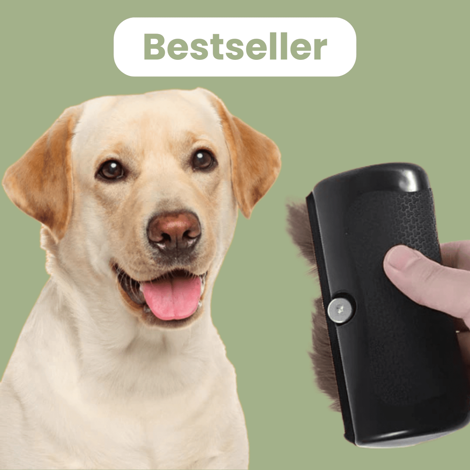 La Brosse Magique pour chien - Le TroneCanin