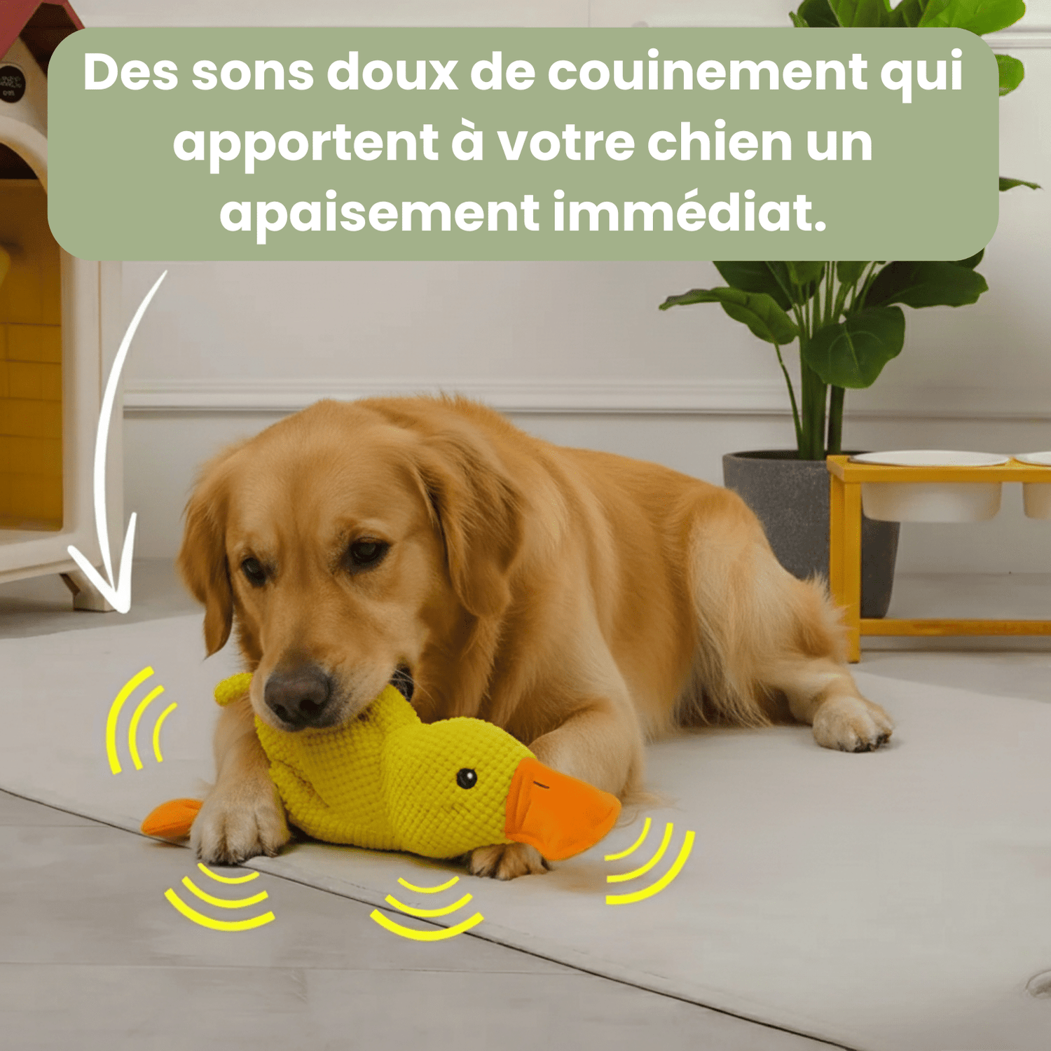 ZenDuck™ - Canard anti - stress - Le TroneCanin